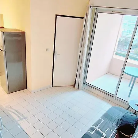 T2 Piscine Et Parking דירה אגדה